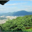 뿌리공원 이미지