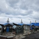 더비치횟집 | 부산 기장 일광 횟집 더비치 횟집 바다뷰 방갈로에서 먹는 회 가족외식 장소