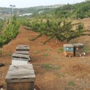 대련농장 이미지