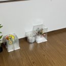 뉴부산횟집 | 부산 광안리 브라이덜샤워 ! 유색드레스가 이쁜 메리치즈스튜디오 내돈내산 찐후기