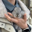 오구목장 이미지