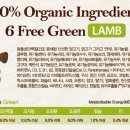 댕댕이애견 이미지