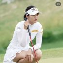 하이트퀸 이미지