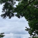경복고등학교 정문 옆 | 서울 종로 가볼만한곳 유네스코 세계문화유산 [창덕궁 후원]관람 후기