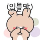 벤디토카페