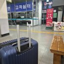 541 | 달 여행 기록 #1] - 프랑크푸르트 (1)- 아시아나 OZ541 후기 / 프랑크푸르트 슈바인학센 슈니첼 맛집 추천