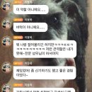 인사이드아웃2에 까메오 출연하는 이동욱 이미지