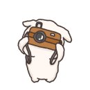 코니오션스위트
