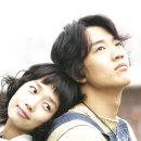 옥탑방 고양이 이미지