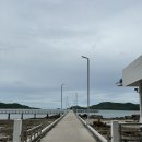 파타야 꼬사메산 스노클링 투어 내돈내산 후기(니모+수질+준비물 등)