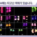 씨피에이 이미지