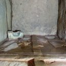 고분양태 이미지