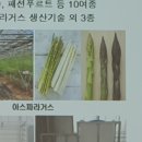 삼척시농업기술센터(원덕) | 삼척시 귀농 귀촌 체험여행/농수산연구교육관/농작물 시험재배 하우스 견학(토마토, 아스파라거스, 용과...