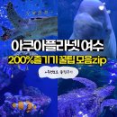 몽땅 포레스트 | [전남 여수] 아쿠아플라넷 여수 총정리✨ 입장료·투명보트·전시·주차까지 몽땅 담았다!