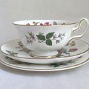 .카페피오 이미지