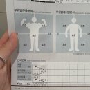 에이펙스 피트니스(APEX FITNESS) | 풍무역 다이어트 ems 순환 웨딩 관리 프로그램 추천 에이펙스이엠에스스튜디오 김포점 전후 인바디 비교