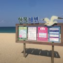 대기리산촌체험학교 야영장 이미지