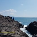 큰코지아침 이미지