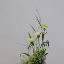 센터피스-decorative parallel 이미지