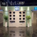 머슬캐슬휘트니스