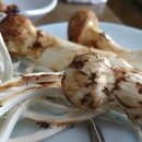 청마루참숯불 이미지