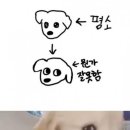 밈