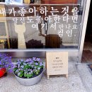 망리단길 이미지