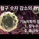 백혈구 숫자 감소의 원인: leukopenia의 원인과 치료에 대해서 이미지