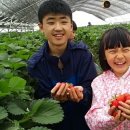 윤경희농장 이미지