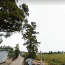 표선리-17 이미지