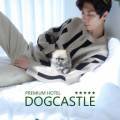 애견호텔 도그캐슬 다산점 이미지