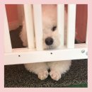 키친베스트 이미지