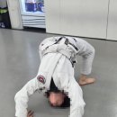 신방학초교 | 쌍문동주짓수 - 매일이 즐거운 쌍문주짓수 도장 일상 (주린이 환영합니다~!)