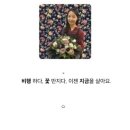 브레드빈 이미지