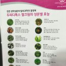 쵸이스셀테라피