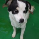 서창파출소 이미지