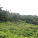 황박 묘 이미지