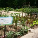 로하스농장 이미지