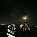 매미캠프 이미지