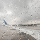 황실오리 | 상하이 북경오리 맛집 추천 후식으로 상하이 버터떡 후기