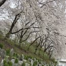 경희대학교 국제캠퍼스 테니스장1