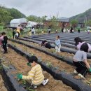 섬배마을 이미지