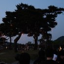 세종낙화축제, 대만 관광객 250명 불러들였다 이미지