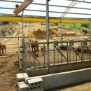 최한수농장 이미지