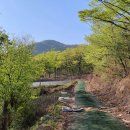 영천시 경계 도로옆 이미지