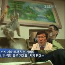 또또농장 Daum카페