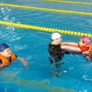 동부초등학교율포분교장 이미지