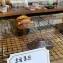 미고트커피