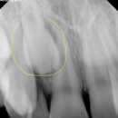 서초주니어치과의원 이미지