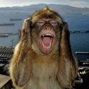 오늘 일기 | [핀란드 교환학생] 스키야키 파티 후기, 오늘의 일기